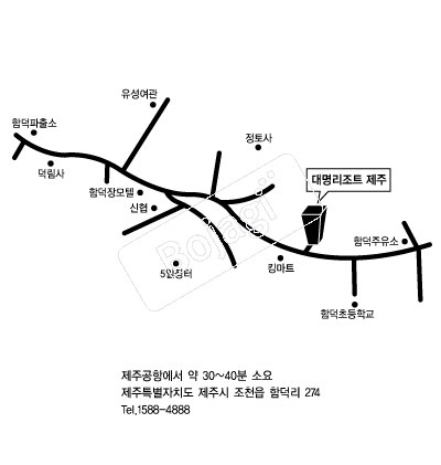  �൵ ���ڱ� ī�� ûø�� 