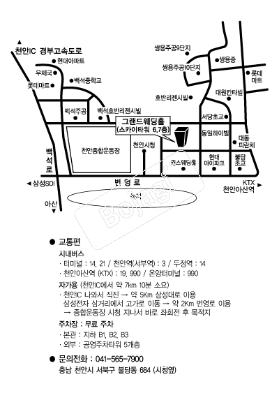 �׷������Ȧ(õ��) �൵ ���ڱ� ī�� ûø�� 