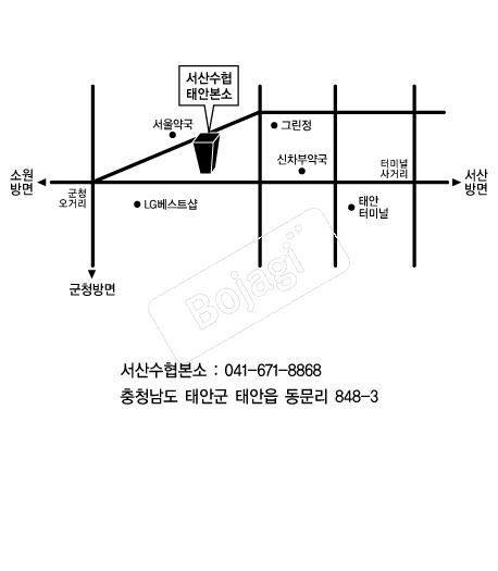  �൵ ���ڱ� ī�� ûø�� 