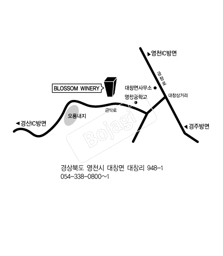  �൵ ���ڱ� ī�� ûø�� 