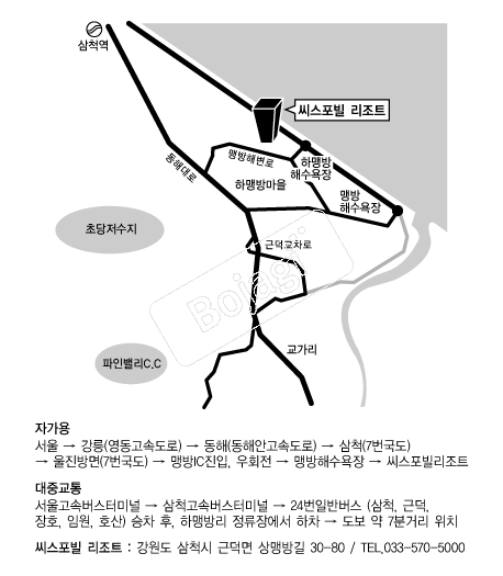 ������������Ʈ �൵ ���ڱ� ī�� ûø�� 