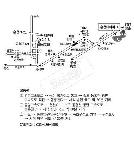  �൵ ���ڱ� ī�� ûø�� 