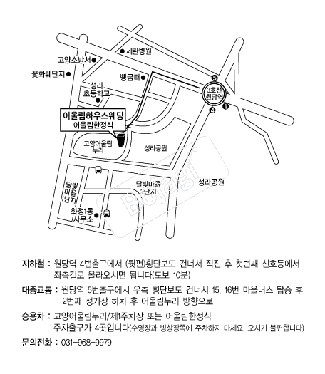 �����︲���� �൵ ���ڱ� ī�� ûø�� 