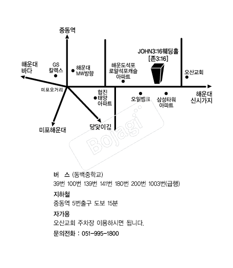  �൵ ���ڱ� ī�� ûø�� 