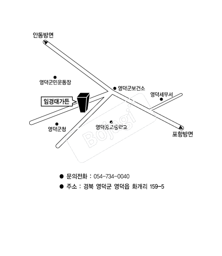  �൵ ���ڱ� ī�� ûø�� 