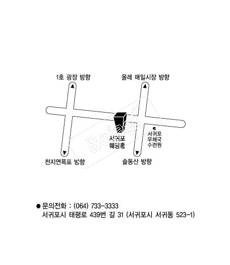 ����������Ȧ �൵ ���ڱ� ī�� ûø�� 