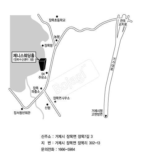 ���Ͻ�����Ȧ �൵ ���ڱ� ī�� ûø�� 