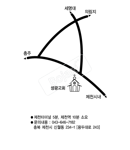  �൵ ���ڱ� ī�� ûø�� 