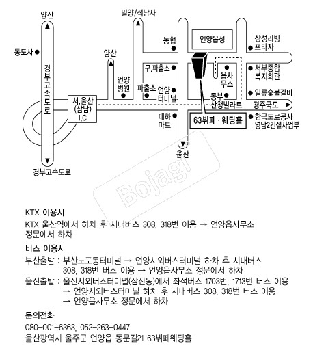63�������Ȧ(���) �൵ ���ڱ� ī�� ûø�� 