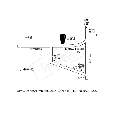  �൵ ���ڱ� ī�� ûø�� 