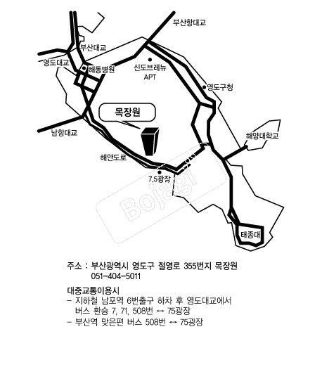  �൵ ���ڱ� ī�� ûø�� 