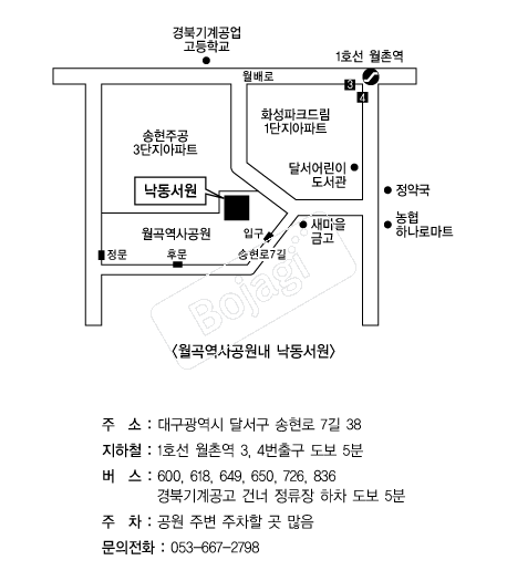  �൵ ���ڱ� ī�� ûø�� 