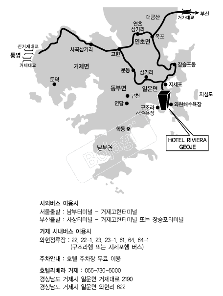 ������ȣ��(����) �൵ ���ڱ� ī�� ûø�� 