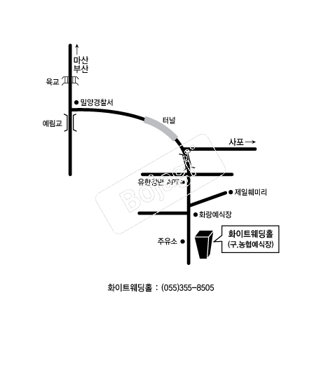 ȭ��Ʈ����Ȧ �൵ ���ڱ� ī�� ûø�� 