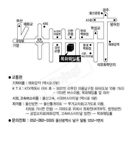 ��ȭ����Ȧ �൵ ���ڱ� ī�� ûø�� 
