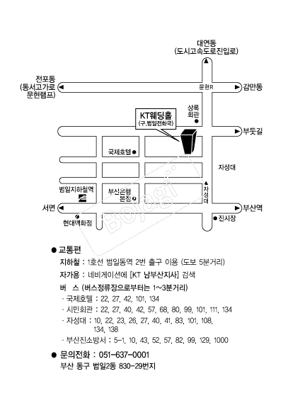 KT����Ȧ(�λ�) �൵ ���ڱ� ī�� ûø�� 