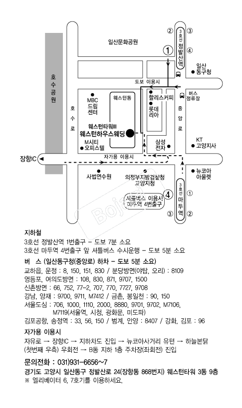 �������Ͽ콺 �൵ ���ڱ� ī�� ûø�� 