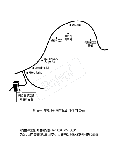 ��������ȣ�� �൵ ���ڱ� ī�� ûø�� 