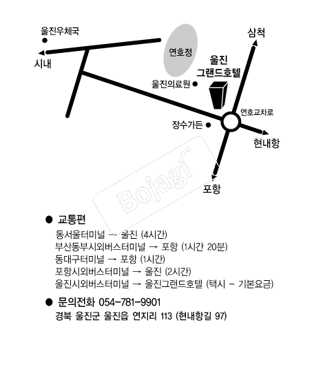 ��������ȣ�� �൵ ���ڱ� ī�� ûø�� 