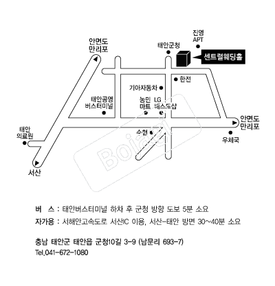 ��Ʈ������Ȧ(�¾�) �൵ ���ڱ� ī�� ûø�� 