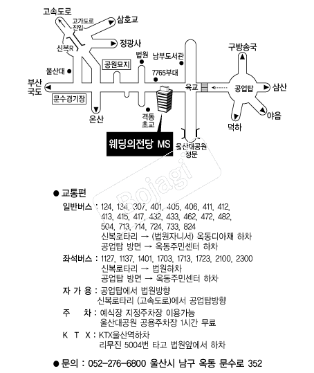 ����������MS �൵ ���ڱ� ī�� ûø�� 