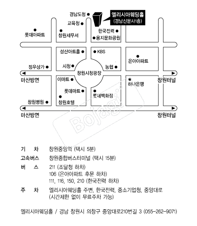 �����þ� �൵ ���ڱ� ī�� ûø�� 