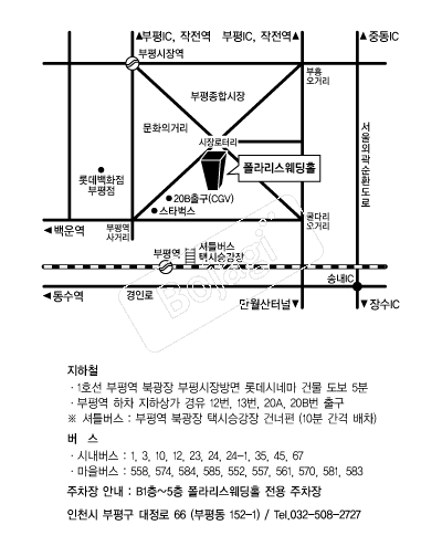 ���󸮽�����Ȧ �൵ ���ڱ� ī�� ûø�� 