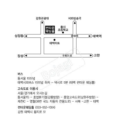 ��Ÿ�����Ȧ �൵ ���ڱ� ī�� ûø�� 