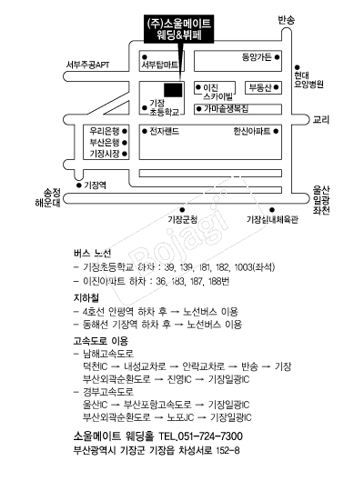 �ҿ����Ʈ�������� �൵ ���ڱ� ī�� ûø�� 