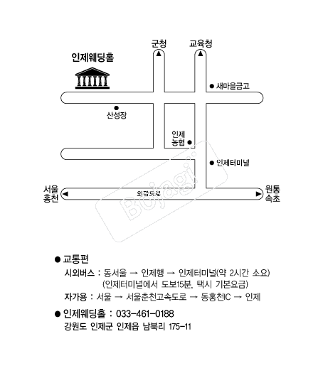 ��������Ȧ �൵ ���ڱ� ī�� ûø�� 