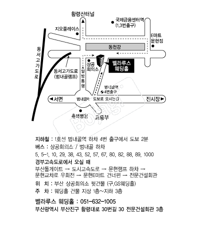 ����罺����Ȧ �൵ ���ڱ� ī�� ûø�� 