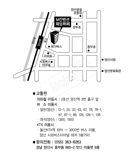 M�����ǿ�������(���) �൵ ���ڱ� ī�� ûø�� 