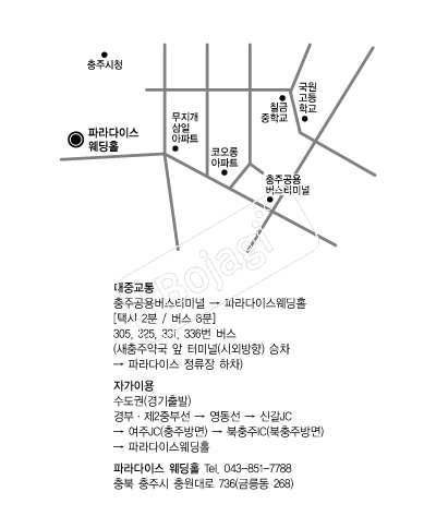 �Ķ���̽�����Ȧ �൵ ���ڱ� ī�� ûø�� 