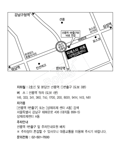 �ǿ���Ÿ����(����) �൵ ���ڱ� ī�� ûø�� 