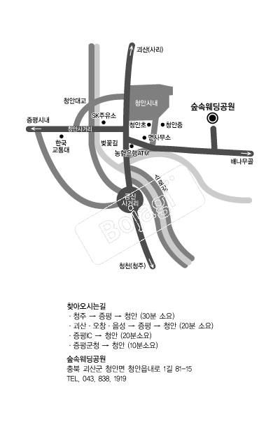 ���ӿ������� �൵ ���ڱ� ī�� ûø�� 