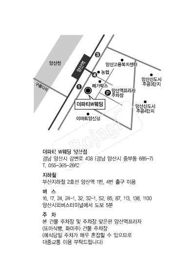 ����Ƽ(�����) �൵ ���ڱ� ī�� ûø�� 