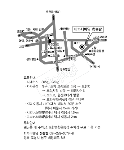 Ƽ�ĴϿ���Ȧ �൵ ���ڱ� ī�� ûø�� 