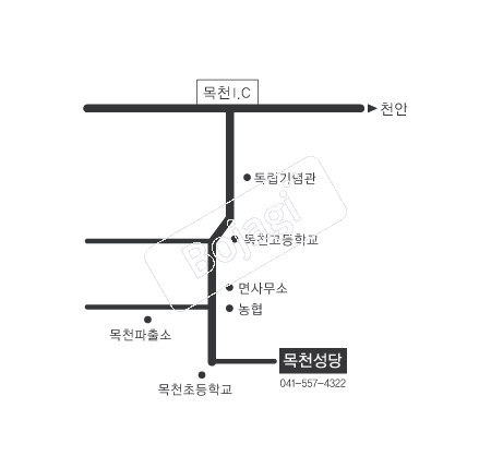  �൵ ���ڱ� ī�� ûø�� 