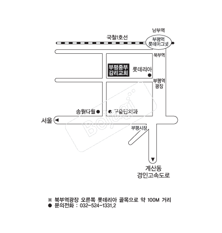  �൵ ���ڱ� ī�� ûø�� 