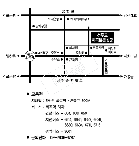 ȭ������� �൵ ���ڱ� ī�� ûø�� 