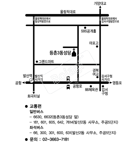  �൵ ���ڱ� ī�� ûø�� 