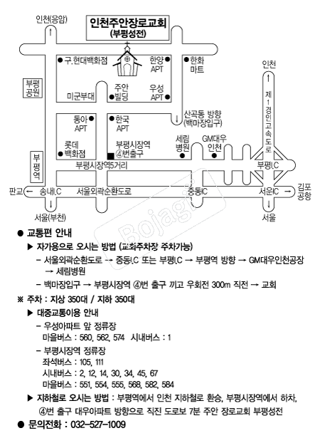  �൵ ���ڱ� ī�� ûø�� 