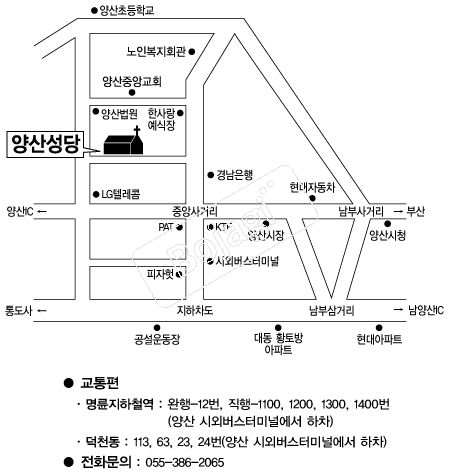  �൵ ���ڱ� ī�� ûø�� 