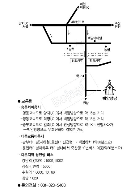  �൵ ���ڱ� ī�� ûø�� 