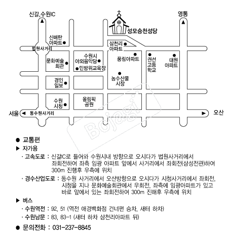  �൵ ���ڱ� ī�� ûø�� 