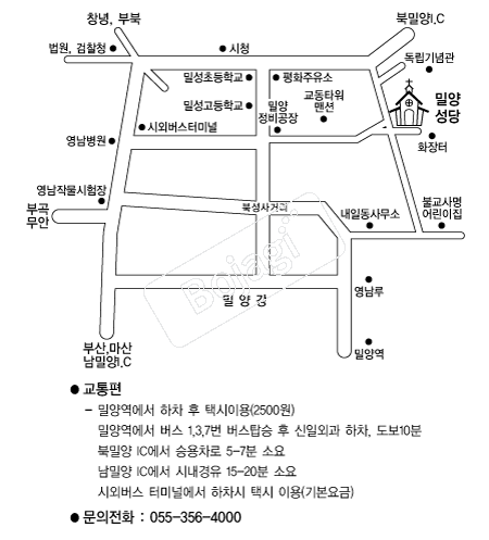  �൵ ���ڱ� ī�� ûø�� 