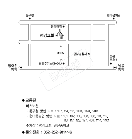  �൵ ���ڱ� ī�� ûø�� 