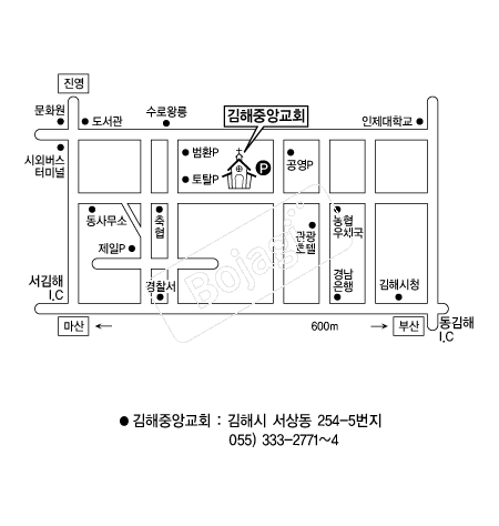  �൵ ���ڱ� ī�� ûø�� 