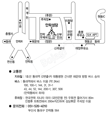 �ȶ����� �൵ ���ڱ� ī�� ûø�� 