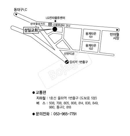  �൵ ���ڱ� ī�� ûø�� 